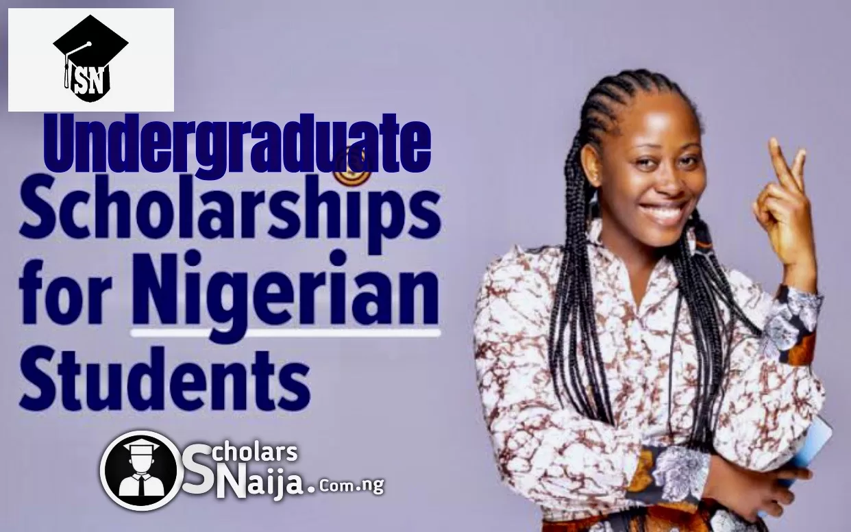 Current Undergraduate Scholarships For Nigerian Students 2024